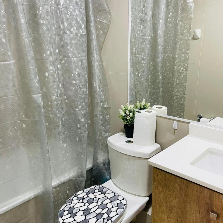 Hermoso Departamento ubicado a 1 cuadra del lago Villarrica - Apartamento de 2 dormitorios - 2