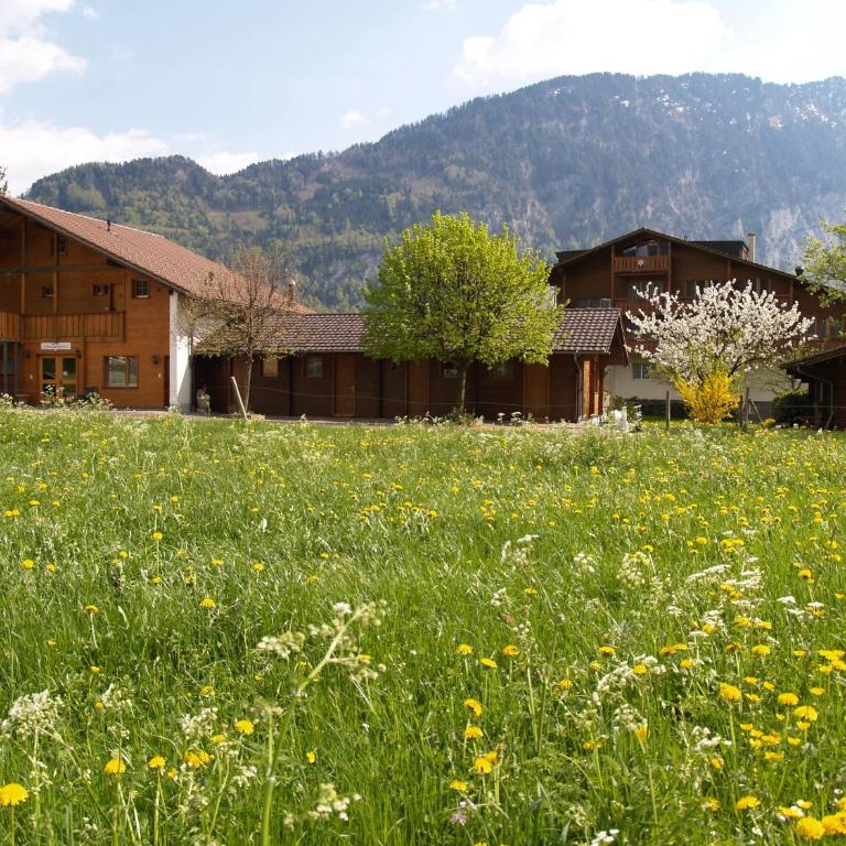 Salzano Basic Rooms Interlaken - Double Room - 3
