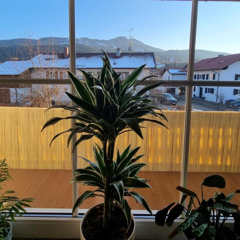 Ferienwohnung BERGLIEBE - Apartment mit 1 Schlafzimmer - 6