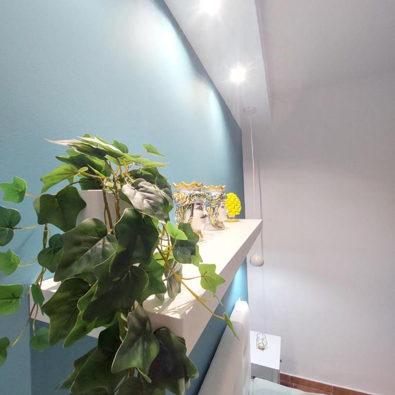 Guest House Palermo Massimo 23 - Appartamento - 2