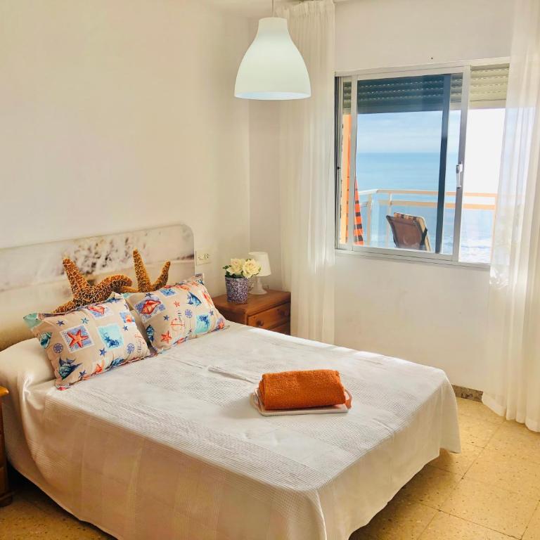 PLAYA DORADA I Séptimo - Apartamento de 2 dormitorios - 24