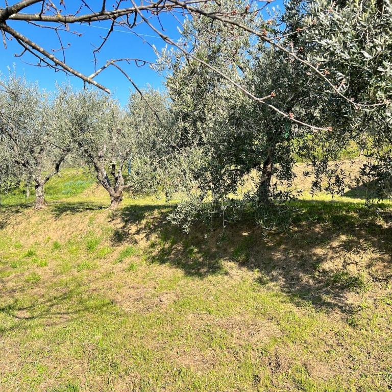 Casa Pozzi - Casa con 2 Camere da Letto - 16