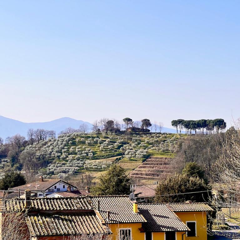 Casa Pozzi - Casa con 2 Camere da Letto - 17