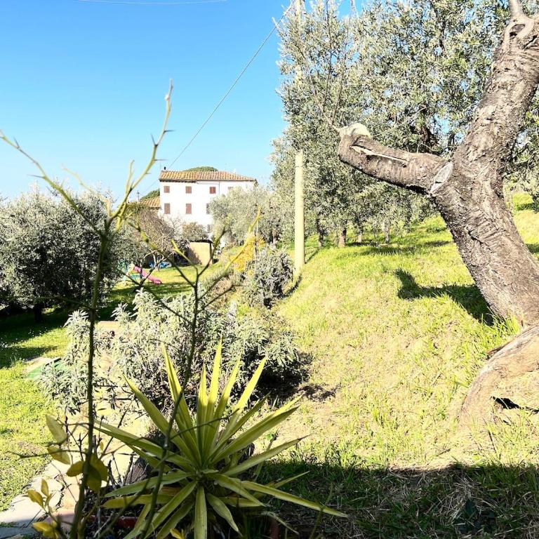 Casa Pozzi - Casa con 2 Camere da Letto - 21