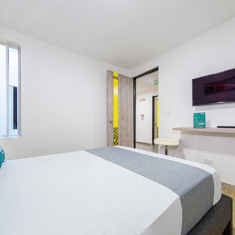 Ayenda Bee Hotel - Standard Double Room - 3