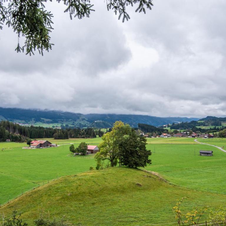Apartment Chalet Rubihorn mit Berg-Blick - Apartment mit 2 Schlafzimmern - 25
