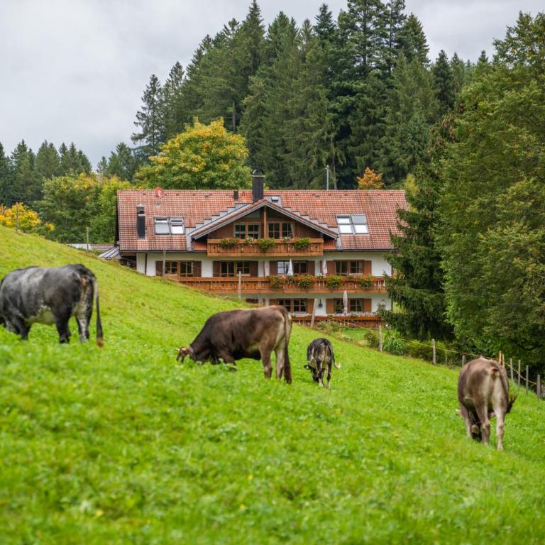 Apartment Chalet Rubihorn mit Berg-Blick - Apartment mit 2 Schlafzimmern - 26