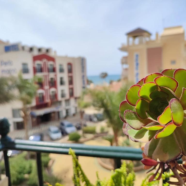 Apartamento turístico Azahara - Apartamento de 1 dormitorio - 12