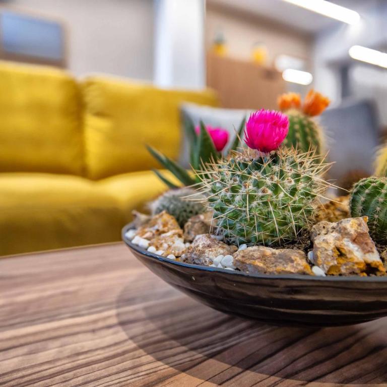 NEW Loft Cabel & Parking Incluido - Apartamento - Planta baja - 12