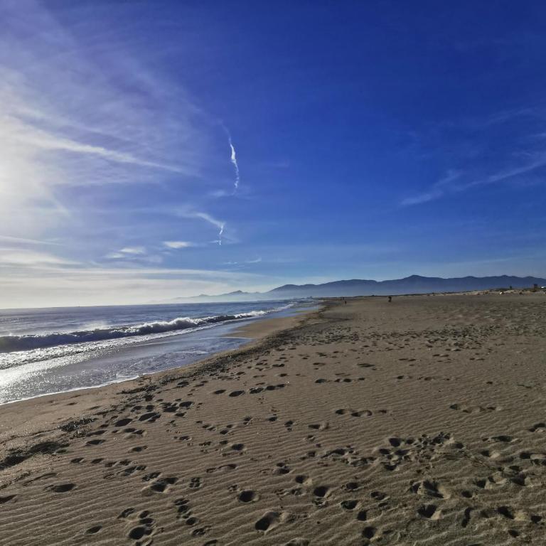 Appartement climatise Vue Mer 208 - Appartamento con Vista Mare - 16