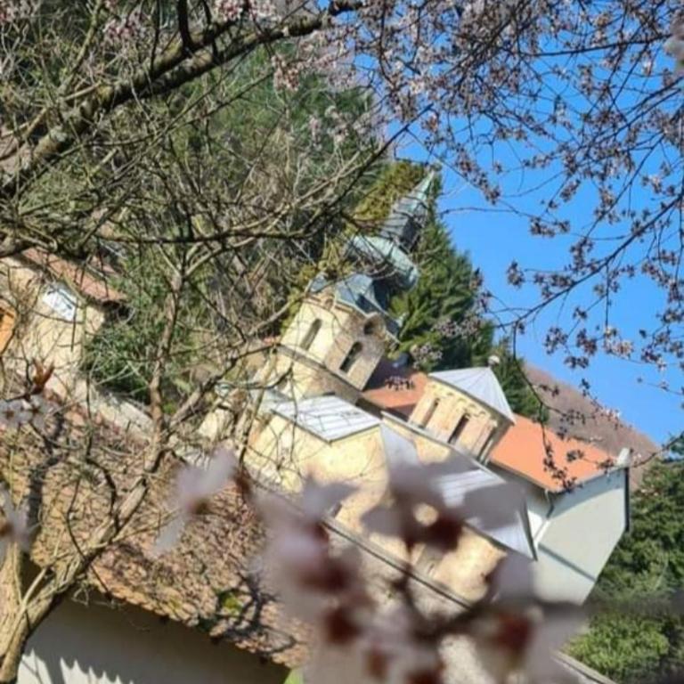Apartman Milion Banja Koviljača - Apartman sa 1 Spavaćom Sobom - 26