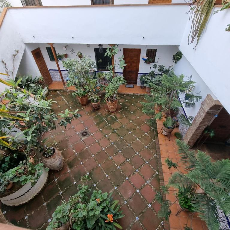 Vivienda Turística en Típico Patio Cordobés San Basilio - Apartamento de 1 dormitorio - 14