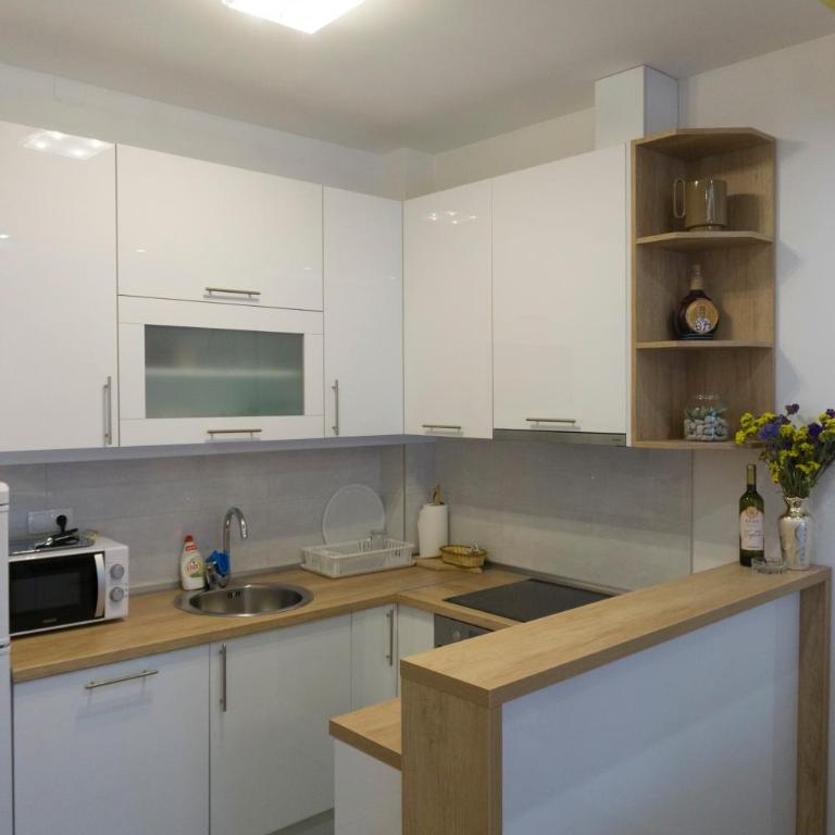 Apartman Kolo - Apartman sa 1 Spavaćom Sobom - 10