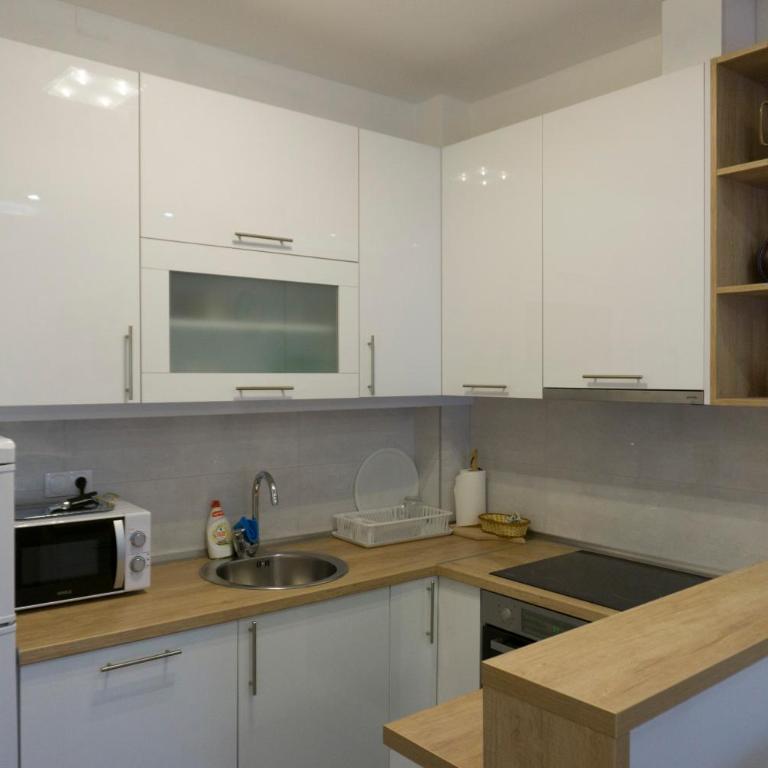 Apartman Kolo - Apartman sa 1 Spavaćom Sobom - 9