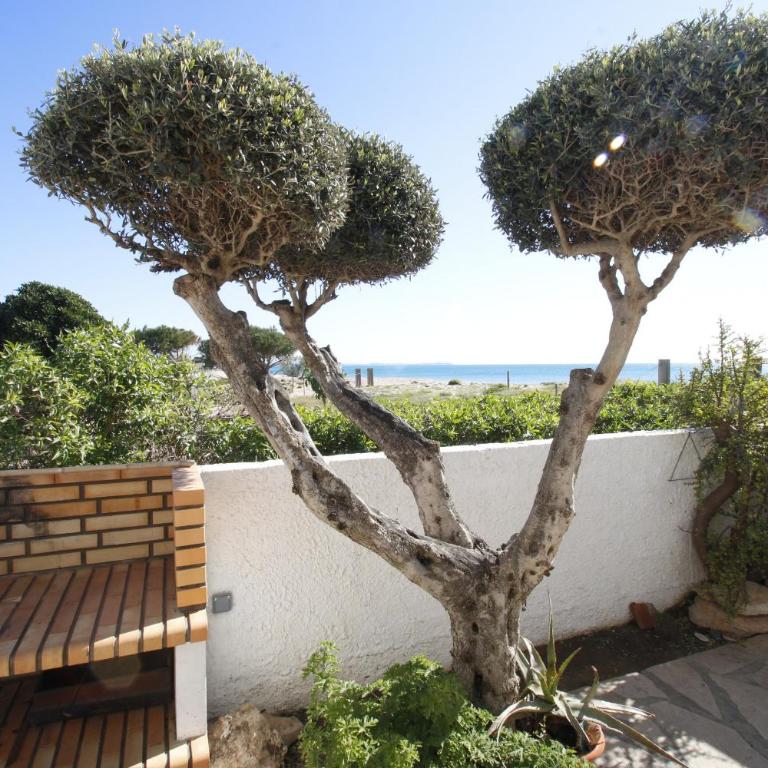 Casas Blancas 4 - Casa - 8