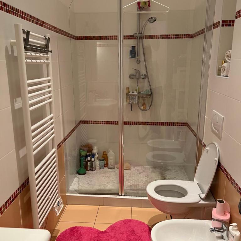Charming Sunny Apartment across Monte Carlo Casino - One-Bedroom Apartment - 25