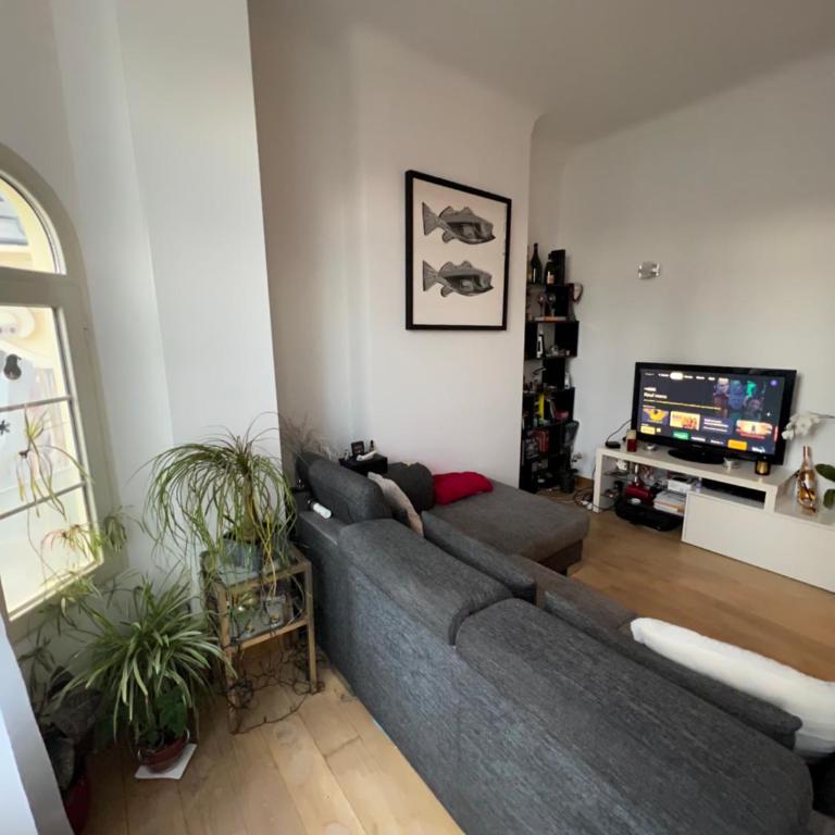 Charming Sunny Apartment across Monte Carlo Casino - One-Bedroom Apartment - 13