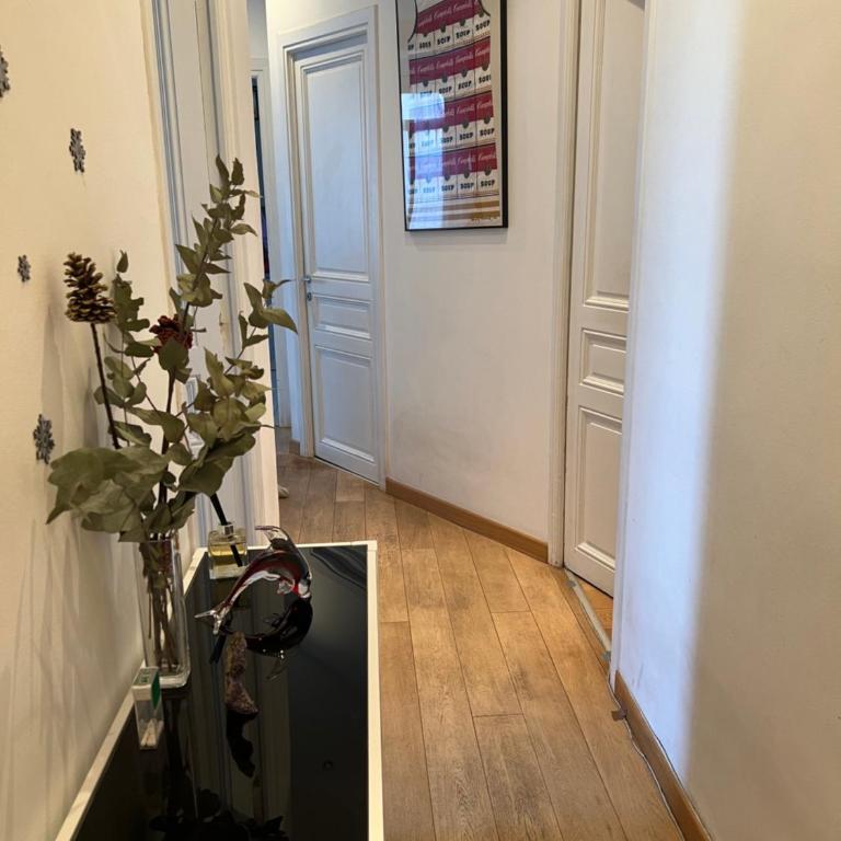 Charming Sunny Apartment across Monte Carlo Casino - One-Bedroom Apartment - 20