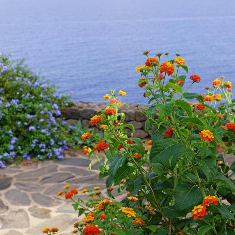 Vento del sud - Casa Vacanze - 3