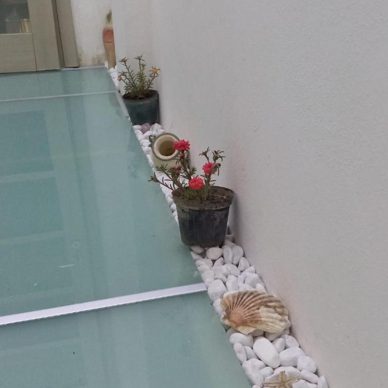 casa a 100mt mare - Apartment mit 2 Schlafzimmern - 29
