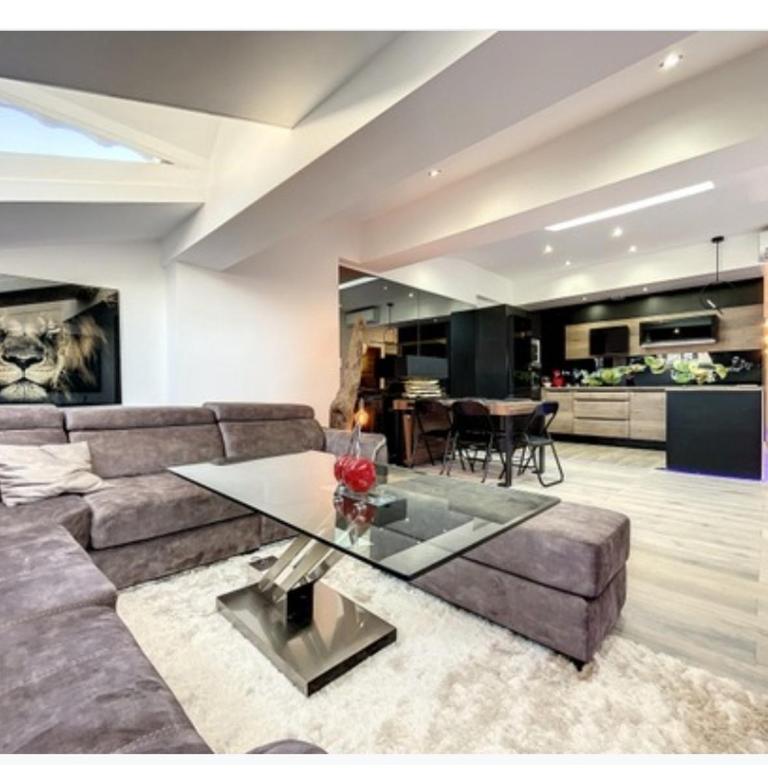 Appartement Palais des Festivals - Penthouse - 1