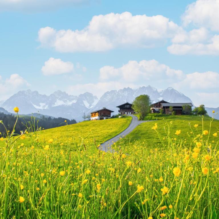 Yogahof Kitzbühel - Boutique Alpine Hideaway - Appartamento con 3 Camere da Letto - 2