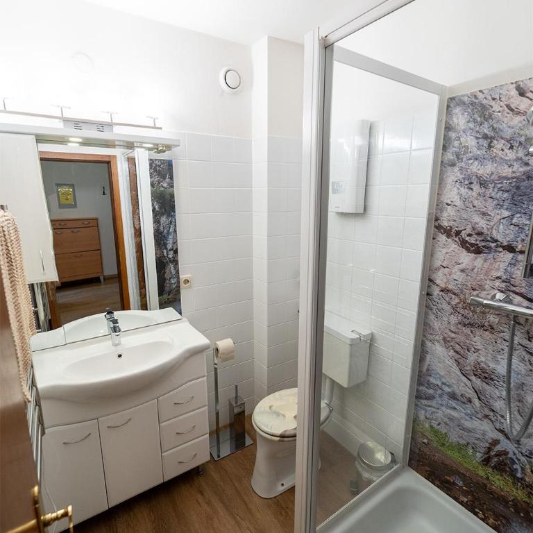 Alpin Apartments - Classic Apartment - 17