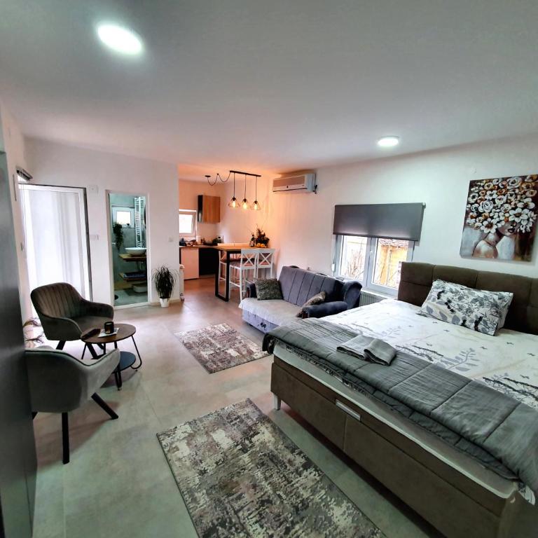 Luxor Apartmani 2 - One-Bedroom Apartment - 1