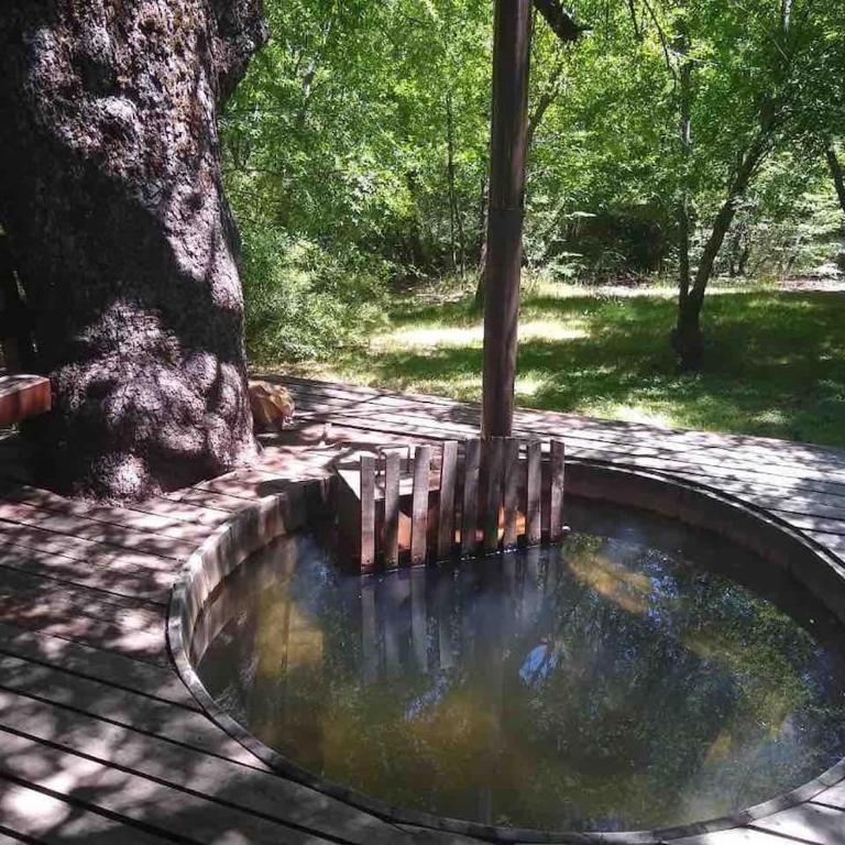 Agradable casa cerca de las termas de Chillan - Casa de 4 dormitorios - 4