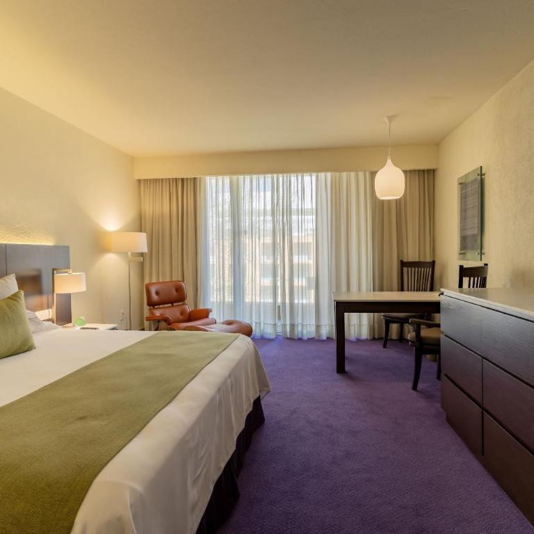 Camino Real Polanco Mexico - Deluxe Superior Garden View King - 4