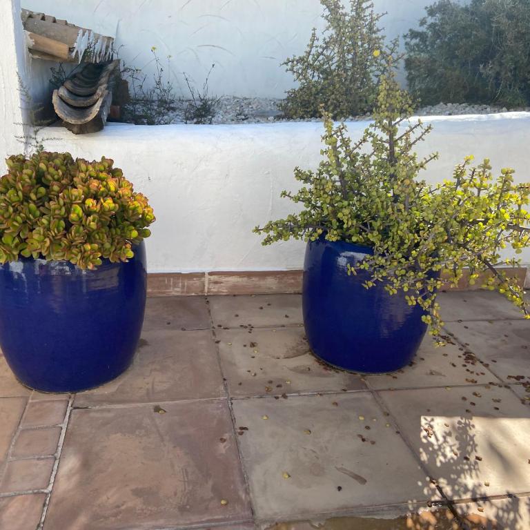 Jávea Villa entière piscine et cuisine d'été à pinosol - Villa de 2 dormitorios - 90