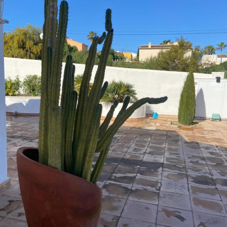 Jávea Villa entière piscine et cuisine d'été à pinosol - Villa de 2 dormitorios - 56