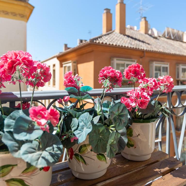 LU&CIA THYSSEN CITY CENTER - Apartamento de 1 dormitorio - 18