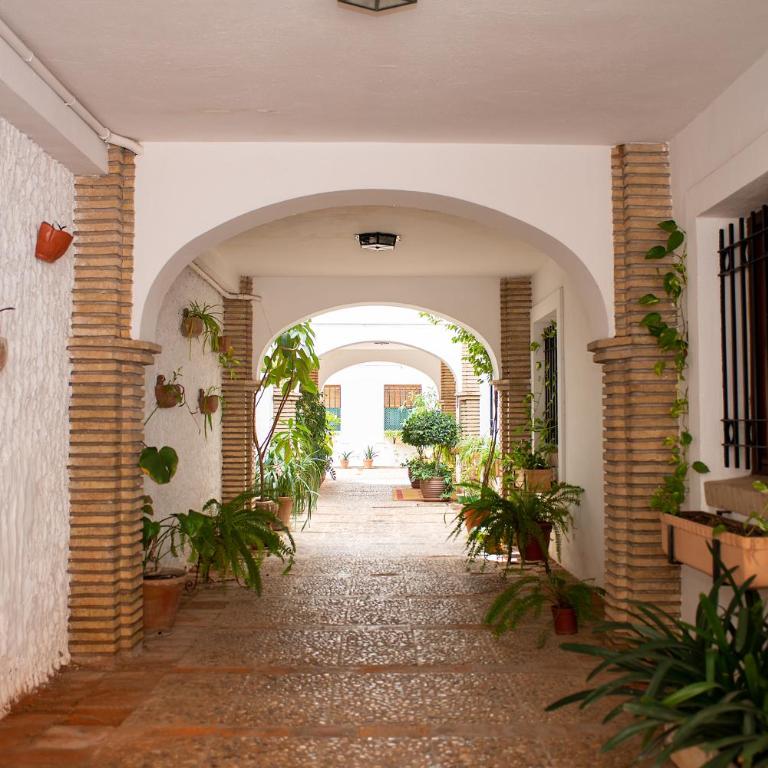 DEANES ROOMS - Apartamento de 3 dormitorios - 18