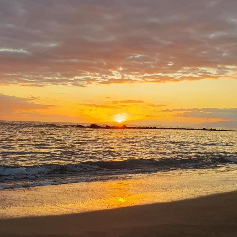 Vistasalsol Tenerife - Apartamento de 1 dormitorio - 24