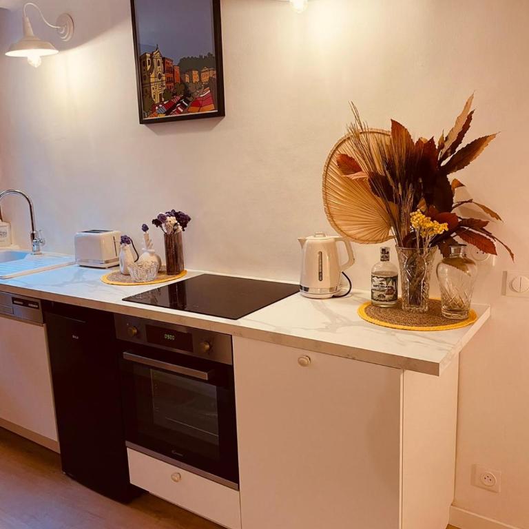 Appart Hotel Jaures - Boutique apartments - Appartement 2 Chambres - 1