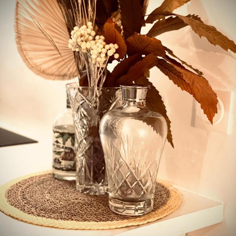 Appart Hotel Jaures - Boutique apartments - Appartement 2 Chambres - 7