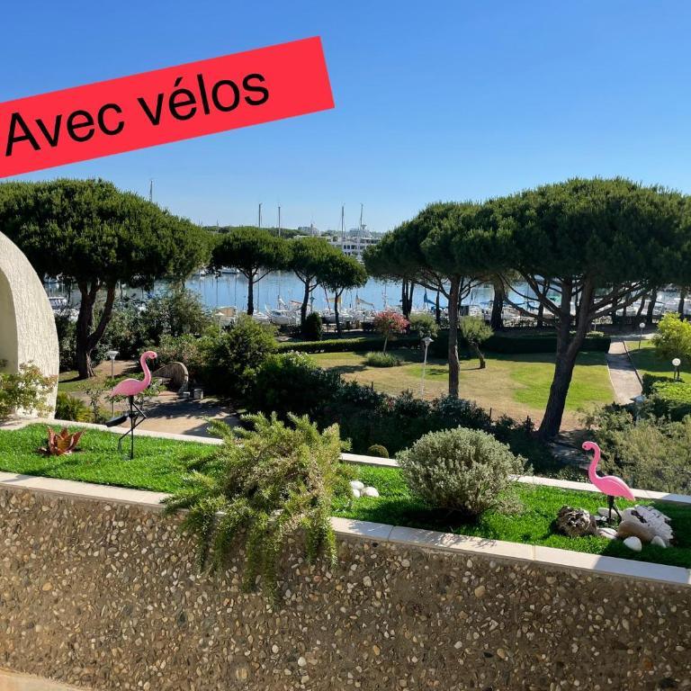 Studio vue port, belle terrasse, piscine - Apartment mit 1 Schlafzimmer - 2