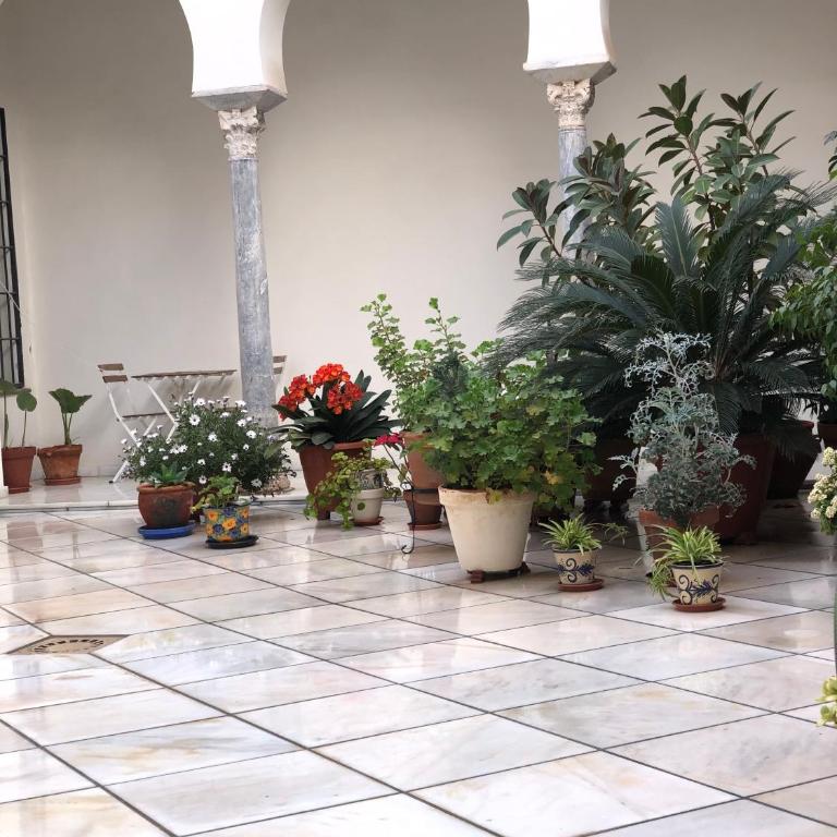 Central Historic Penthouse - Apartamento de 1 dormitorio - 9