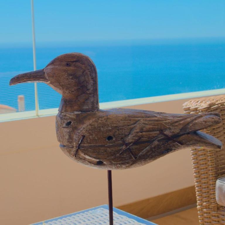 SUNNY DAY APARTMENT CALACEITE - Apartamento de 2 dormitorios - 1