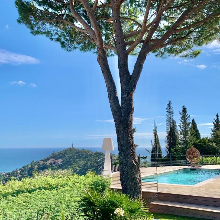 Découvrez la Villa « The View » - Villa - 51