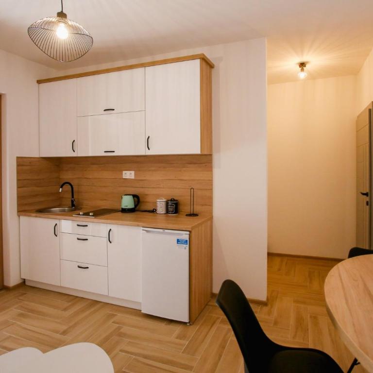 Apartments & Rooms ARCH - One-Bedroom Apartment - 8
