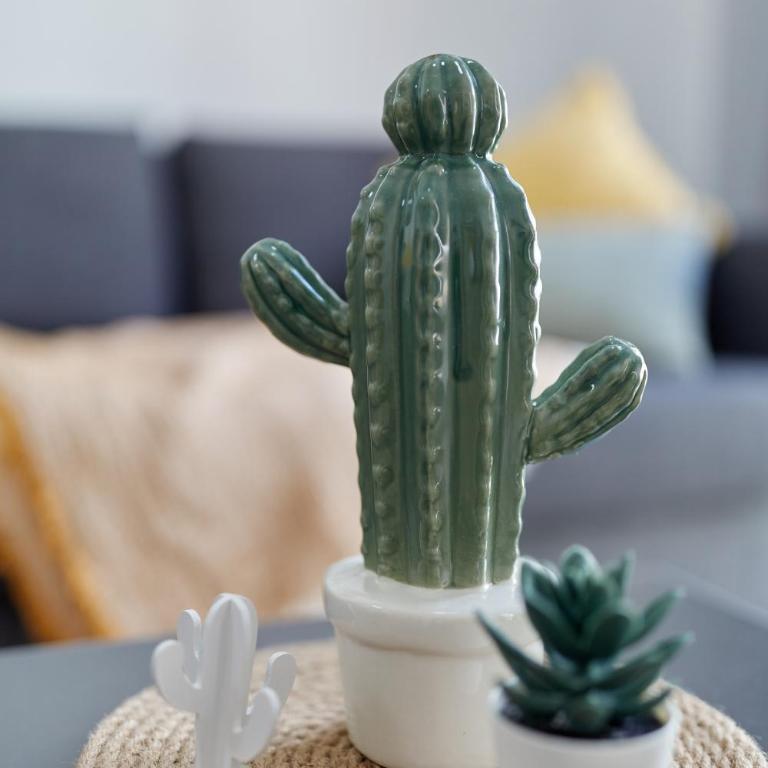Penthouse Cactus Old Center - Apartamento de 2 dormitorios - 6