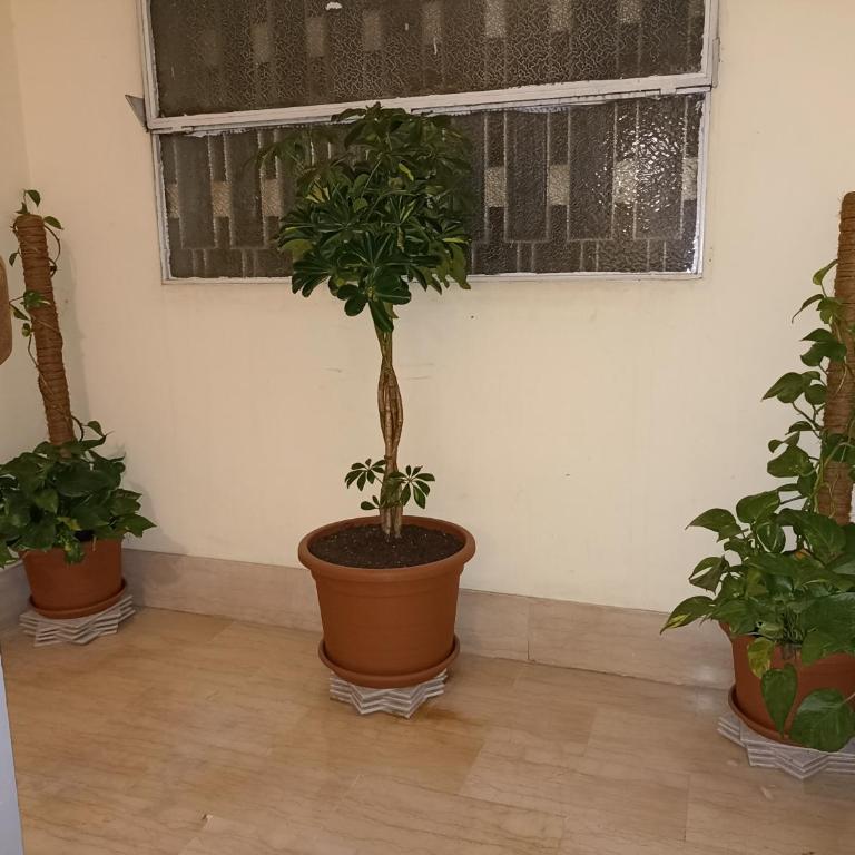 A&C Talenti Diamond - Apartment - 10