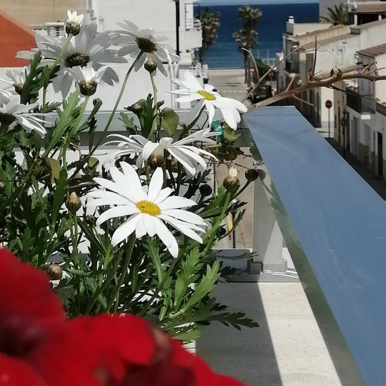 C´AN PICAFORT NEAR THE SEA - Two-Bedroom Apartment with Sea View - 31