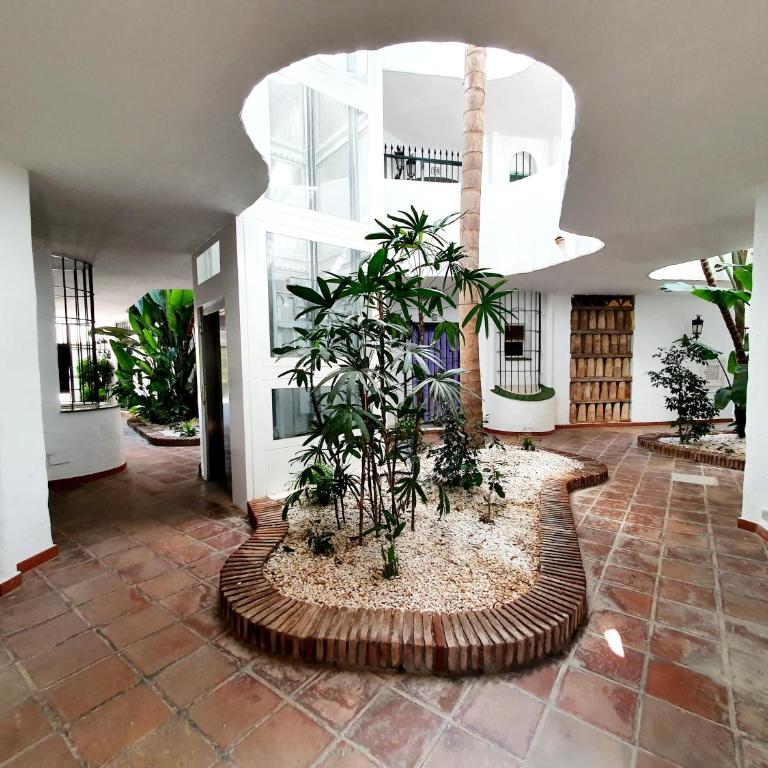 Medina del Zoco Studio - Estudio con terraza - 8