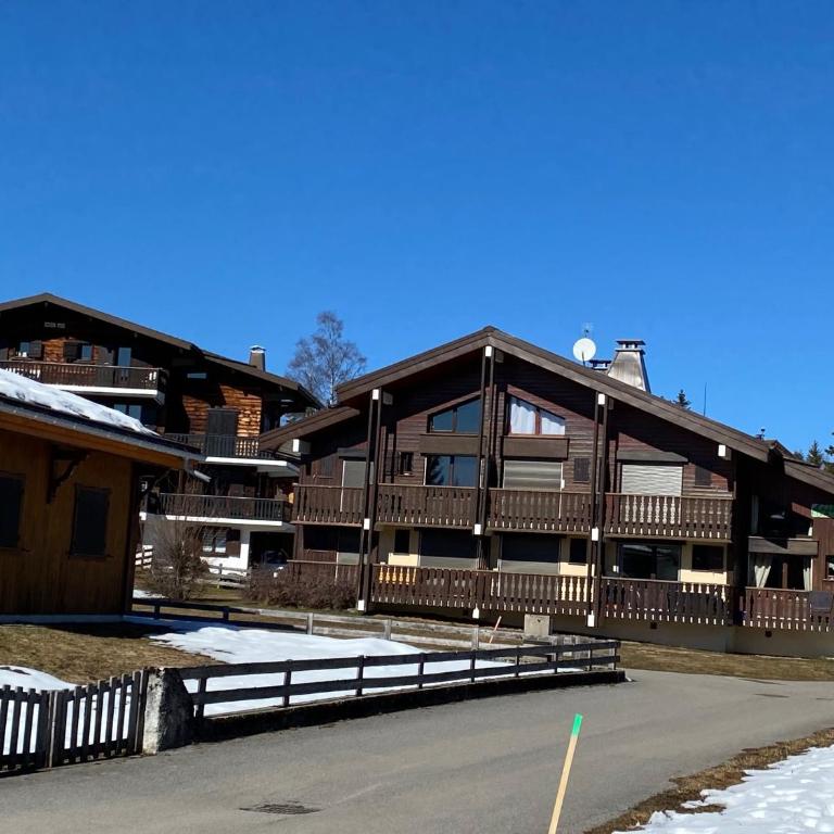 CHALET DES NEIGES - Apartment mit Blick auf die Berge - 1