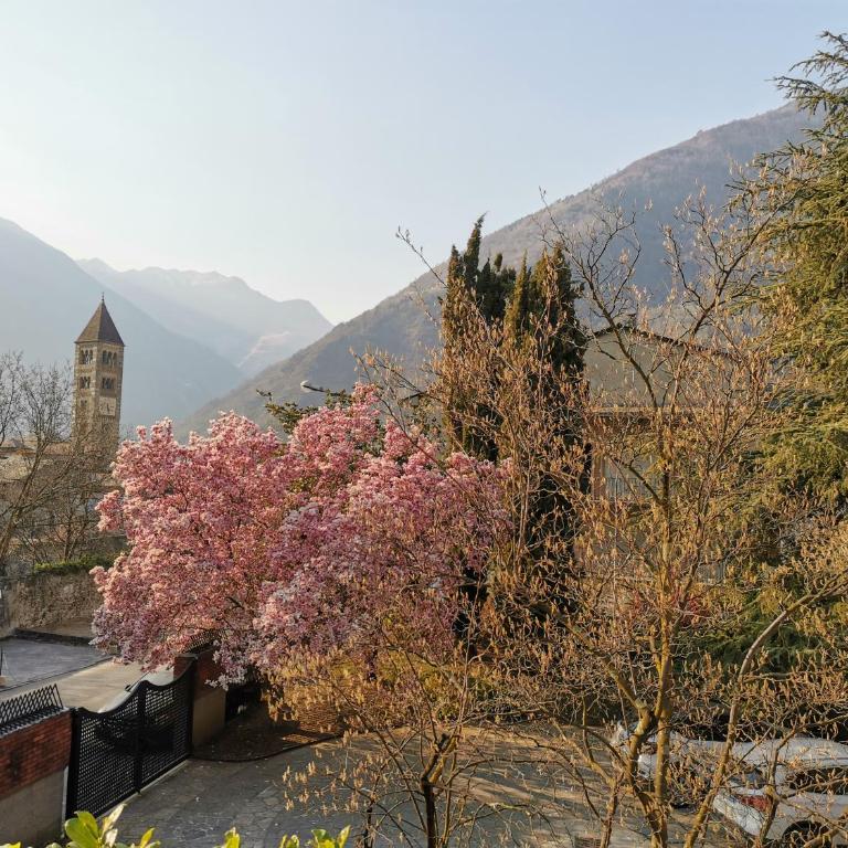 La Casa Del Quirino - Appartamento con 3 Camere da Letto - 9