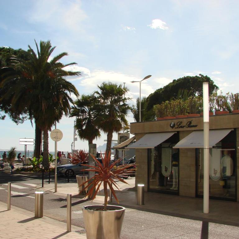 Cannes Croisette - One-Bedroom Apartment - 8