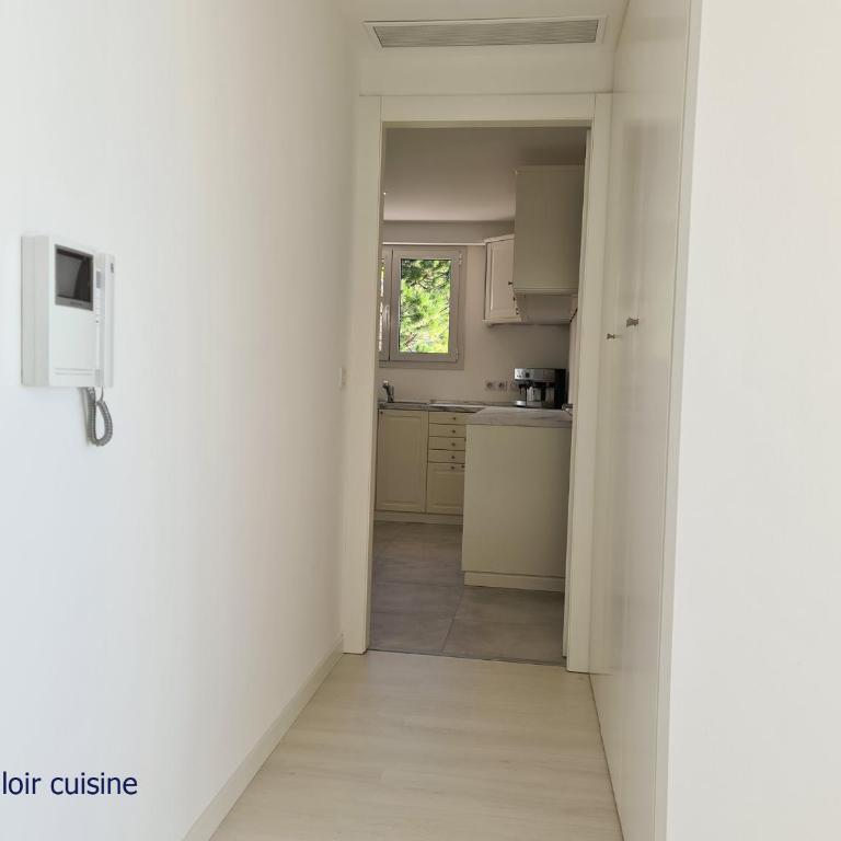 Luxurious penthouse with magnificent views over the bay of Menton - Appartement 3 Chambres - 33